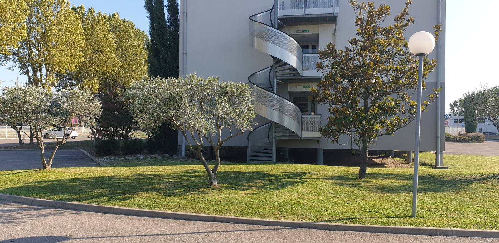 Espaces verts entretenus au pied d'une résidence : oliviers, magnolia et pelouse